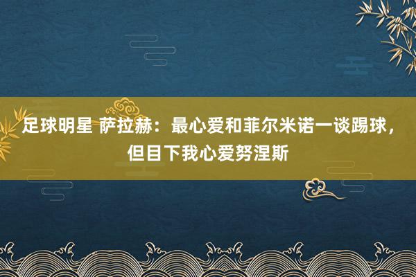 足球明星 萨拉赫：最心爱和菲尔米诺一谈踢球，但目下我心爱努涅斯