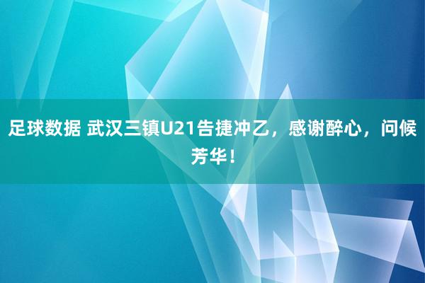 足球数据 武汉三镇U21告捷冲乙，感谢醉心，问候芳华！