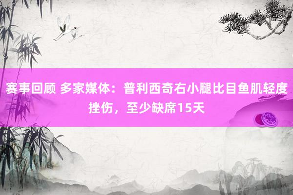 赛事回顾 多家媒体：普利西奇右小腿比目鱼肌轻度挫伤，至少缺席15天