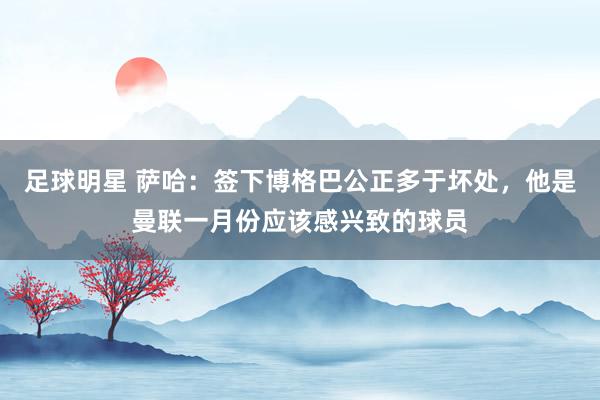 足球明星 萨哈：签下博格巴公正多于坏处，他是曼联一月份应该感兴致的球员