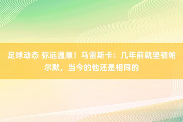 足球动态 弥远温顺！马雷斯卡：几年前就坚韧帕尔默，当今的他还是相同的