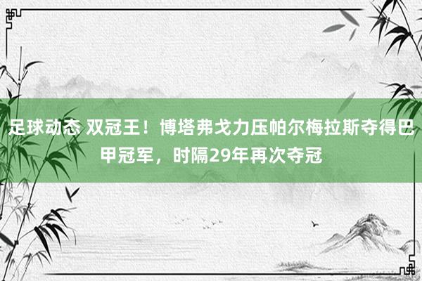 足球动态 双冠王！博塔弗戈力压帕尔梅拉斯夺得巴甲冠军，时隔29年再次夺冠