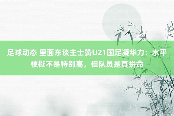 足球动态 里面东谈主士赞U21国足凝华力：水平梗概不是特别高，但队员是真拚命