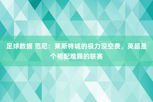 足球数据 范尼：莱斯特城的极力没空费，英超是个相配难踢的联赛