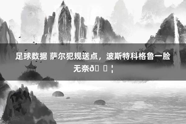 足球数据 萨尔犯规送点，波斯特科格鲁一脸无奈😦